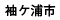 袖ヶ浦地区活動報告