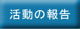 活動の報告