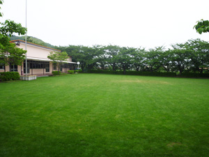 ct
